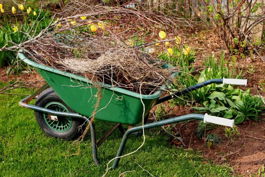 yard clean-up