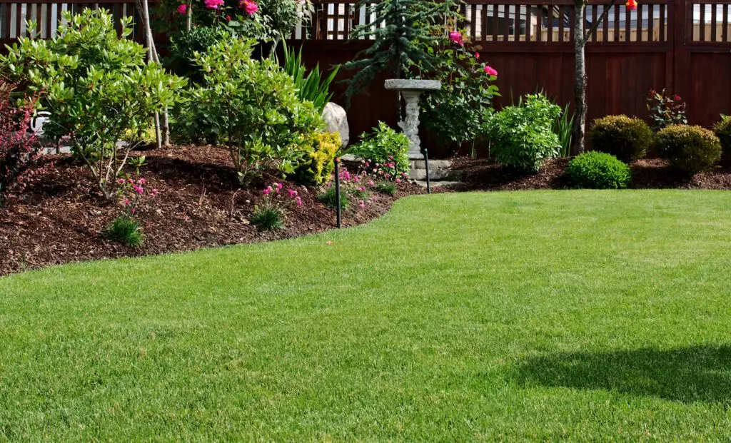 sod installation: Freshly mowed garden lawn grass area surrounded by flowerbeds planted with shrubs and bushes and border plants in bloom during springtime season on a sunny day.