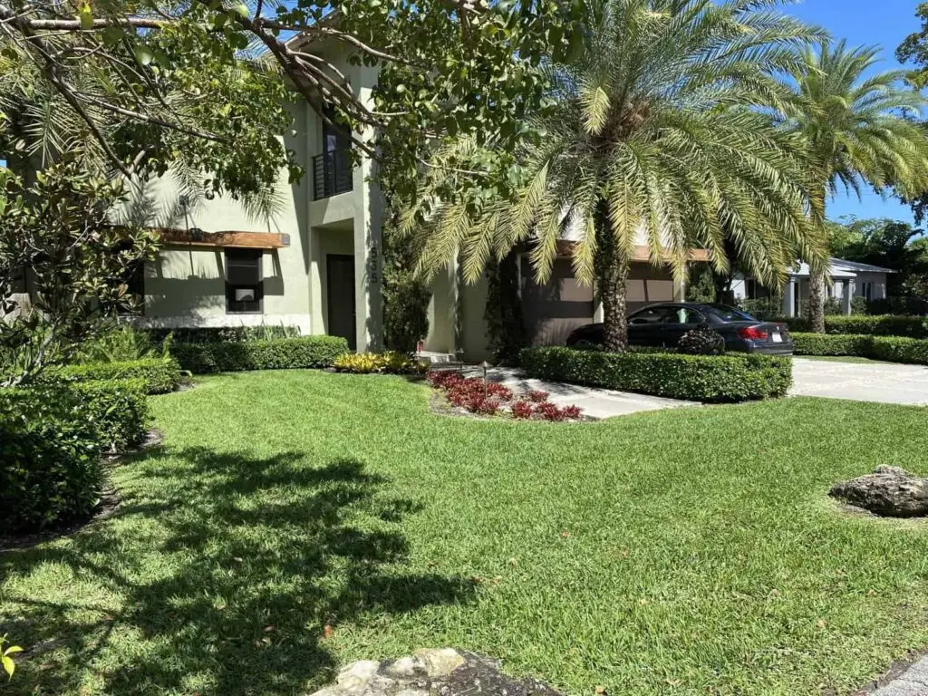 hero image: A photo of a modern house with a green lawn and palm trees. The house has a large driveway and a two-car garage. There are bushes and flowers in front of the house.