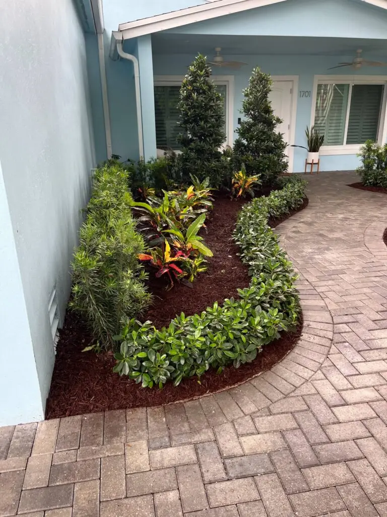 A front yard garden with a variety of tropical plants and shrubs bordering a brick walkway leading to a blue house.