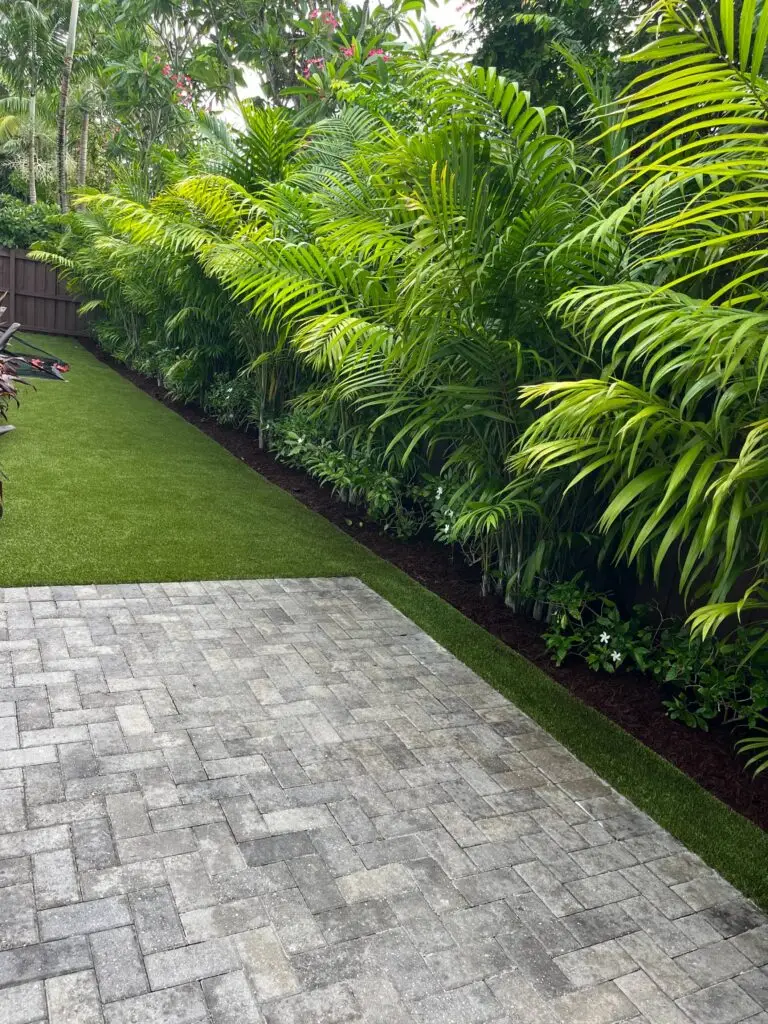 A photo of a backyard with a brick patio, a grassy lawn, and a row of palm trees lining the fence. Clean-up